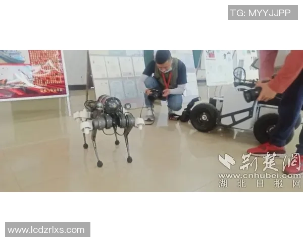 普埃布拉大学与蒙特雷精彩对决直播全程回顾与分析